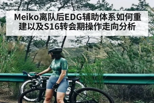 Meiko离队后EDG辅助体系如何重建以及S16转会期操作走向分析